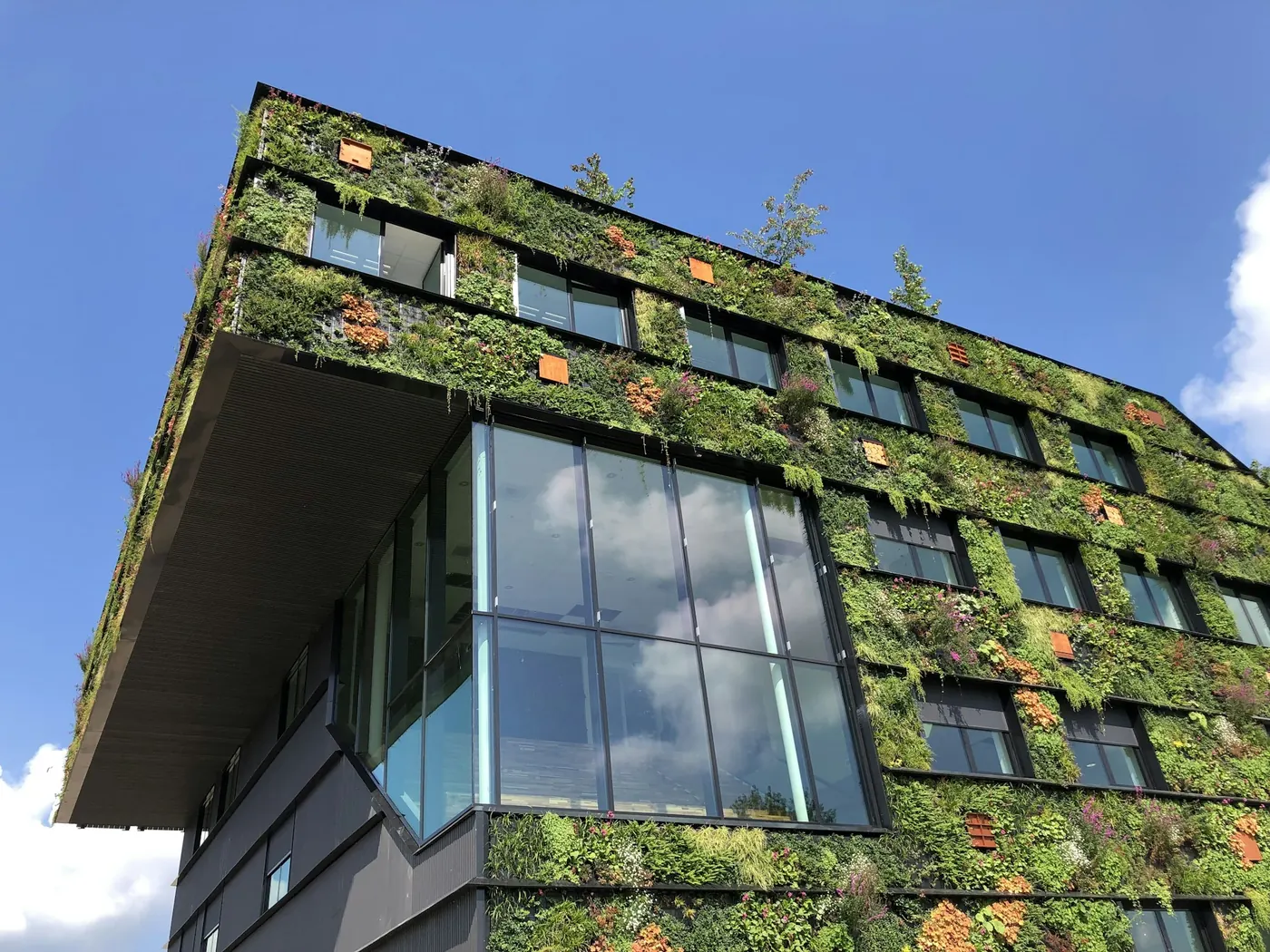 Facciata di un edificio moderno con verde verticale